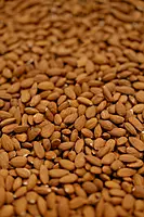 Almond